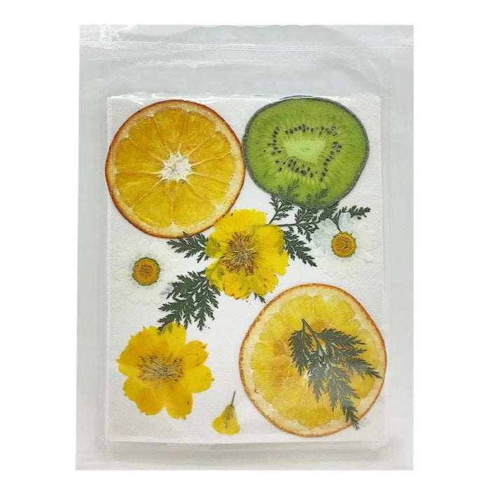 Pressed Fruit Flower [B]
