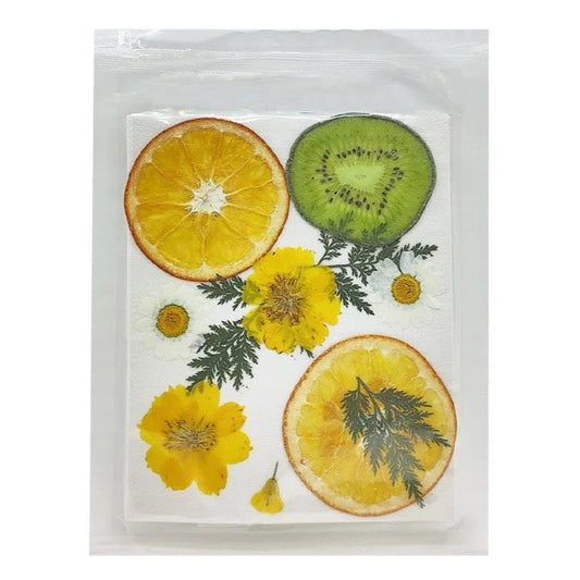 Pressed Fruit Flower [B]